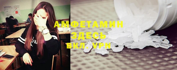 прущие грибы Сатка
