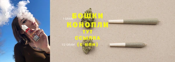 прущие грибы Сатка