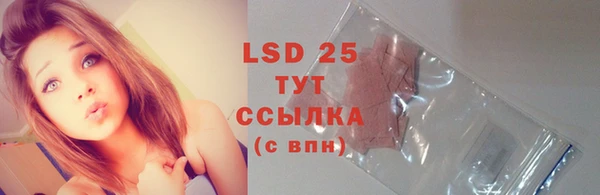 прущие грибы Сатка