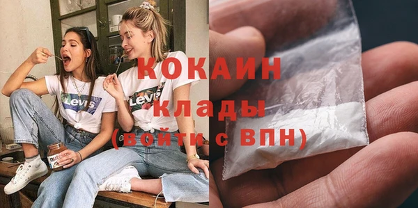 прущие грибы Сатка