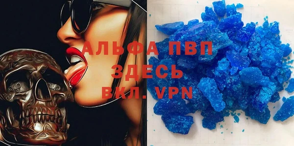 прущие грибы Сатка