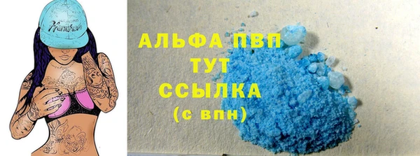 прущие грибы Сатка