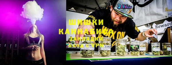 прущие грибы Сатка